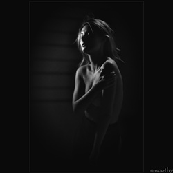 dailyPhoto8