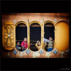 dailyPhoto13