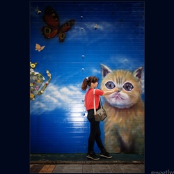dailyPhoto11
