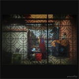 dailyPhoto13