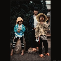 dailyPhoto39