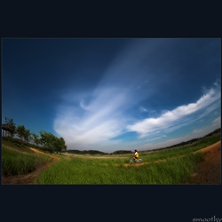 dailyPhoto6