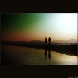 dailyPhoto10
