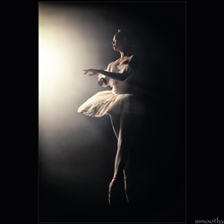 dailyPhoto36