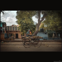 dailyPhoto13