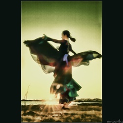 dailyPhoto36