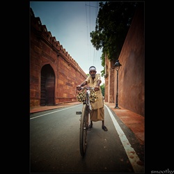 dailyPhoto9