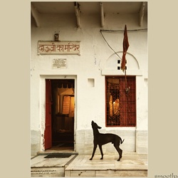 dailyPhoto7