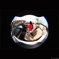 dailyPhoto33