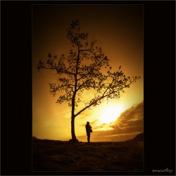 dailyPhoto4