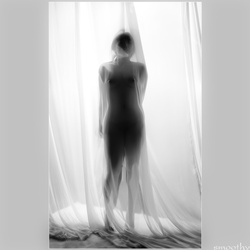 dailyPhoto6