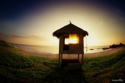 dailyPhoto6