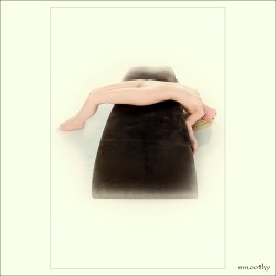 dailyPhoto26