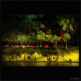 dailyPhoto11
