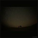 dailyPhoto31