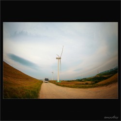 dailyPhoto37