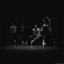 dailyPhoto40