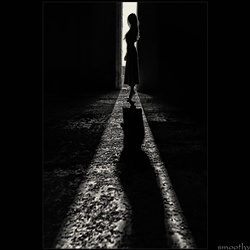 dailyPhoto13