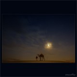 dailyPhoto2