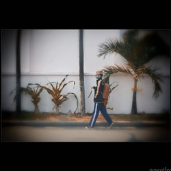 dailyPhoto7