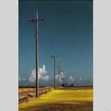 dailyPhoto40