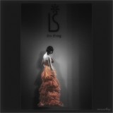 dailyPhoto8