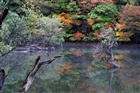 dailyPhoto40