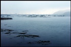 dailyPhoto5