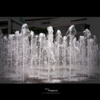 dailyPhoto1