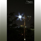 dailyPhoto35