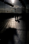 dailyPhoto9