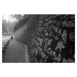 dailyPhoto36