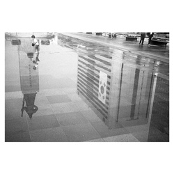 dailyPhoto10