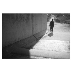 dailyPhoto8