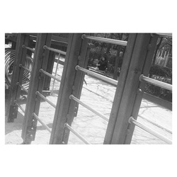 dailyPhoto6