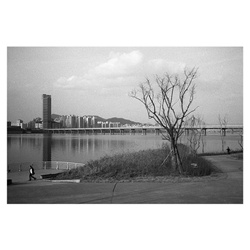 dailyPhoto16