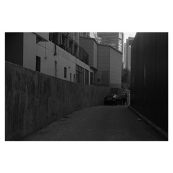 dailyPhoto7