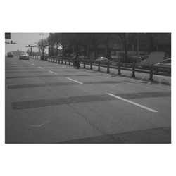 dailyPhoto8