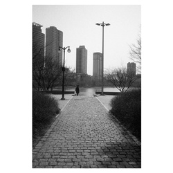 dailyPhoto8