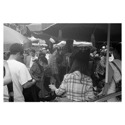 dailyPhoto1