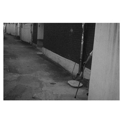 dailyPhoto23