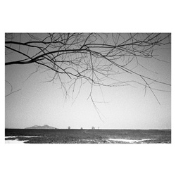 dailyPhoto37