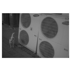 dailyPhoto19