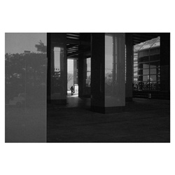 dailyPhoto8