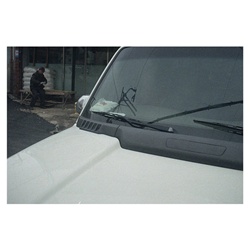 dailyPhoto36