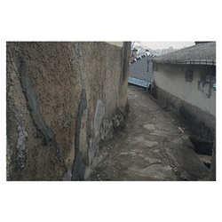 dailyPhoto3