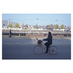 dailyPhoto12