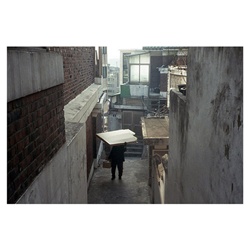 dailyPhoto3