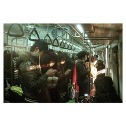 dailyPhoto15