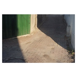 dailyPhoto4